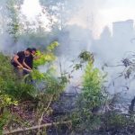 Anggota Satpol PP Provinsi Kalteng dan Tim Gabungan Padamkan Api Kebakaran Lahan Gambut